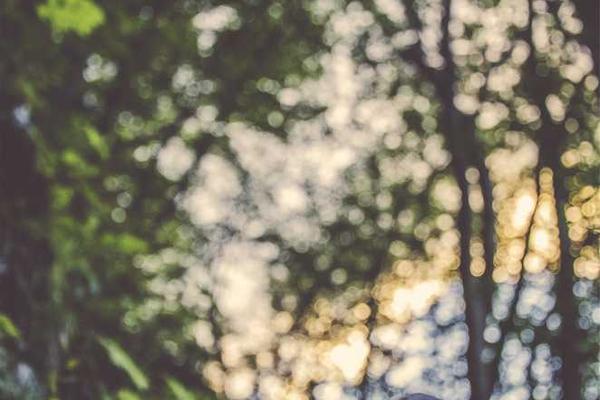 Bali Uncovered: A Journey Beyond the Beaches